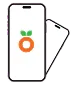 Browse Step Icon - Search organic food in app